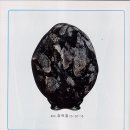 사단법인 대한수석인총연합회 이미지