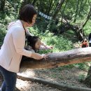 에벤에셀 이미지