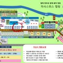까사스위스캠핑장 - 1270 | 서울근교 당일치기 캠핑 장비없어도 가능한 까사스위스