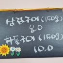 골목야식 이미지