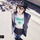 율 이미지