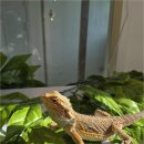 해피주 수원점 이미지