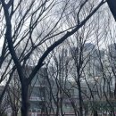 은혜식육점 이미지