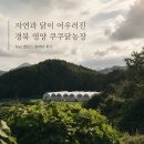 치유농장온생명살림 | 경북 영양 쿠쿠닭농장 팜파티 후기 │ 난각번호 1번, 좋은 계란을 고르는 기준을 만나다