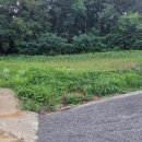 문양농장 이미지