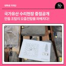 국가유산 수리현장 중점공개 안동 조탑리 오층전탑을 파헤치다!