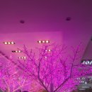 덕천3동-2 이미지