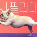 서원주약국 이미지