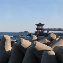 속초자연횟집 이미지