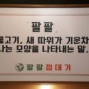 팔팔용품
