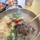 화곡PC | 강서구청 화곡동 점심 혼밥 추천 대한국수 강서화곡점 1++한우 수육 칼국수 내돈내산 후기