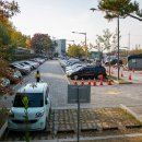 21.은행나무길(경제진흥원) | 충남 아산 가볼만한곳 아산 곡교천 은행나무길 드라이브 자전거 코스