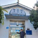 안양골농원 | (보령시 소읍탐방) 청소역, 화암서원, 청천호 한 바퀴 돌아 청라은행마을에 노랗게 물들다