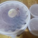 안고시 배방점 이미지