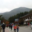 무릉계곡 이미지