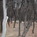 우면산6-11 이미지