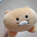 땅이게임랜드 이미지