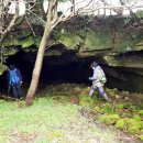 국영목장 이미지