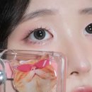보은비상10호(보은상1호) | [클리오] 비쥬얼로 보은하는 냥이들🐾 | 냥생 역전 프로 아이팔레트 에어 11 쇼핑하는 치즈냥 12...