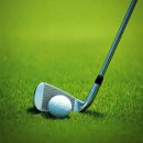 러프(Rough) 이미지