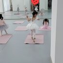 슈슈발레학원 이미지