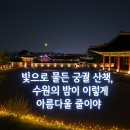 화성행궁 야간개장 후기｜빛으로 물든 궁궐 산책, 수원의 밤이 이렇게 아름다울 줄이야