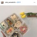 세임벌스 이미지