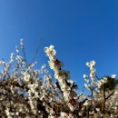 유수정농장 이미지