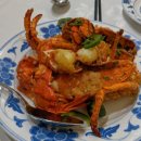 코코버디스 이미지