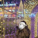 CU강서경찰서점 | 한강크루즈 이랜드크루즈 불꽃뮤직크루즈 내돈내산후기 - 무료주차, 신분증, 추천좌석, 불꽃놀이명당