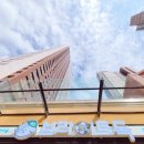 브라이트 독 이미지