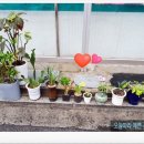 원제한약방 네이버블로그