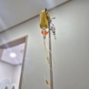미주식품 | 후두신경통, 목디스크, 주사피부염, 자율신경병, 미주신경, 기능성 위장장애, 과민성 방광염 외...