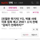 YG, 박봄 사태 이후 침묵 깨고 2NE1 소식 전해 "감싸기 언제까지?" 이미지