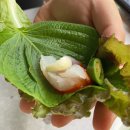25시회센타 이미지