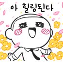 감일퍼스트 태권도 이미지