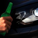 강행정사사무소 이미지