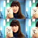 우쭈쭈 내강아지 이미지