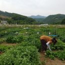 심성 농장 이미지