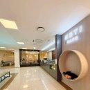 금정경찰서 정문 앞 | 부산대 NC백화점 카페 추천｜금정구카페 감성 끝판왕, 엠비티아이카페 MBTI CAFE 후기