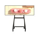 상업용 79 이미지