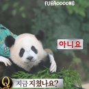 지에스25남일신송점 | 드디어 가을 선배 오다