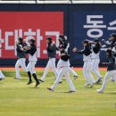 위위즈