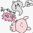 예일퀸스하우스산후조리원 이미지