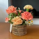 꽃드리움 | 구미 임은동 꽃집 &#39;로망플로라&#39; 어버이날 카네이션 미리 구매한 내돈내산 후기 (가격, 예약, 주차)