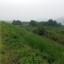 우포1대로 이미지