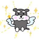 마지랑카페 이미지