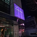 핫 독 | 송파 와인바 추천! 퍼플독 송파본점 &#39;무제한 와인 아워&#39; 솔직 후기