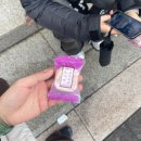 평원4길 1 | [제주대 학점교류] 후기 ep 2. 오름트레킹편 3~4일차 (삼의악부터 사라봉 까지)