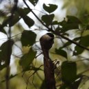 감성있개 이미지